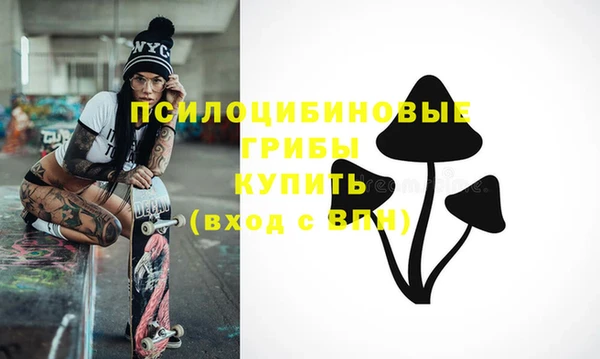 МДПВ Нефтегорск