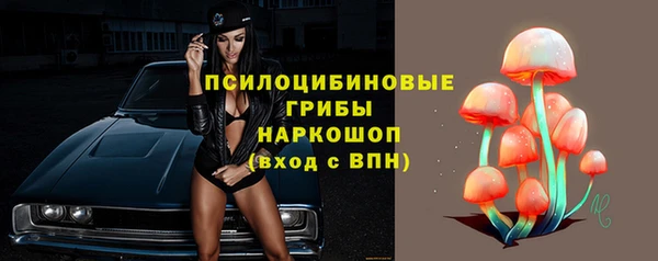 МДПВ Нефтегорск
